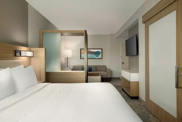 جناح بسرير كينج، SpringHill Suites by Marriott Braselton 1/8