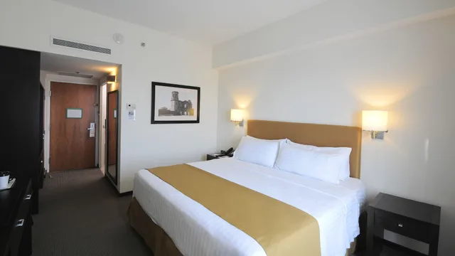 Standard, Single Bed, Holiday Inn Uruapan 1/10