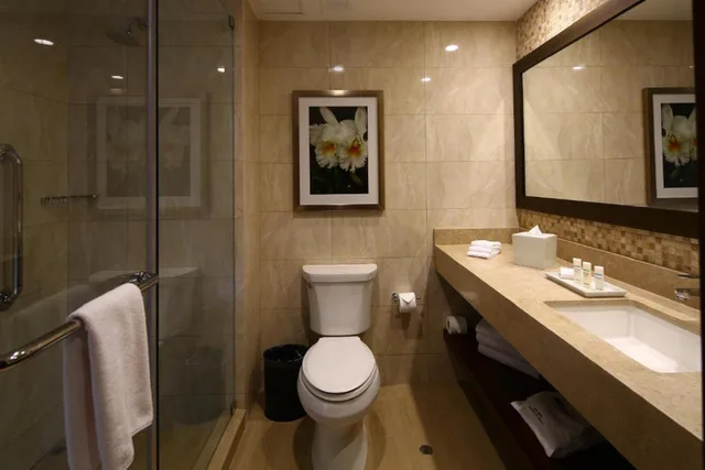 غرفة قياسية بسرير كينج، Hilton Garden Inn Cusco 1/1