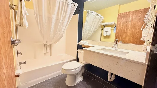 جناح بسرير كينج مع أريكة لذوي الإعاقة، Microtel Inn & Suites by Wyndham New Braunfels 3/8