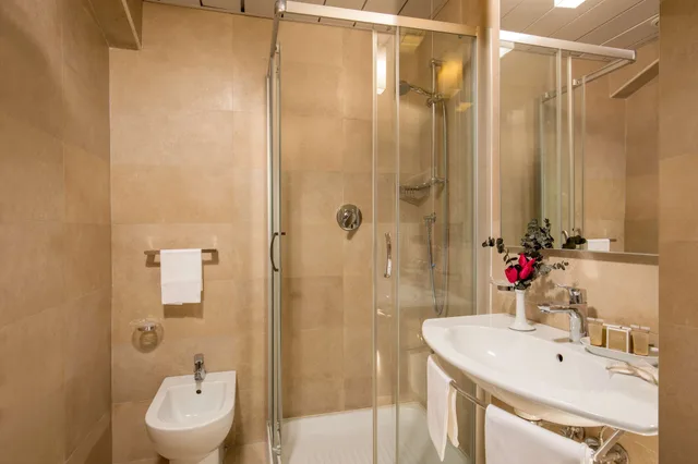 غرفة سوبيريور بسرير مزدوج أو سريرين منفصلين، Grand Hotel Fleming 6/7