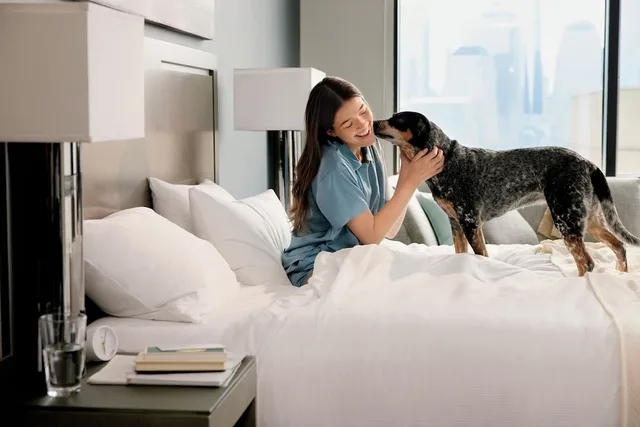 جناح بسريرين كوين بمطبخ، Hyatt House Bwi Airport/baltimore 2/3