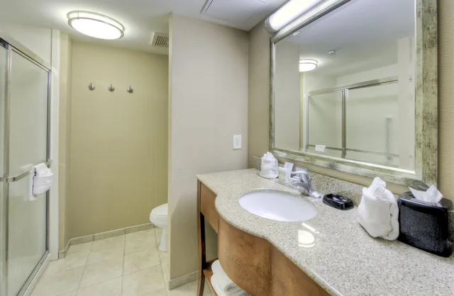 استوديو بسرير كينج مع أريكة لذوي الإعاقة، Hampton Inn Wilmington - University Area/Smith Creek Station 5/5