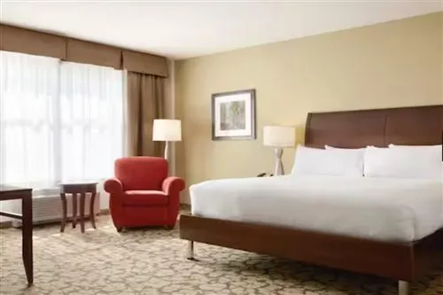 Junior Suite, Accessible, Hilton Garden Inn Boston Logan Airport 1/3