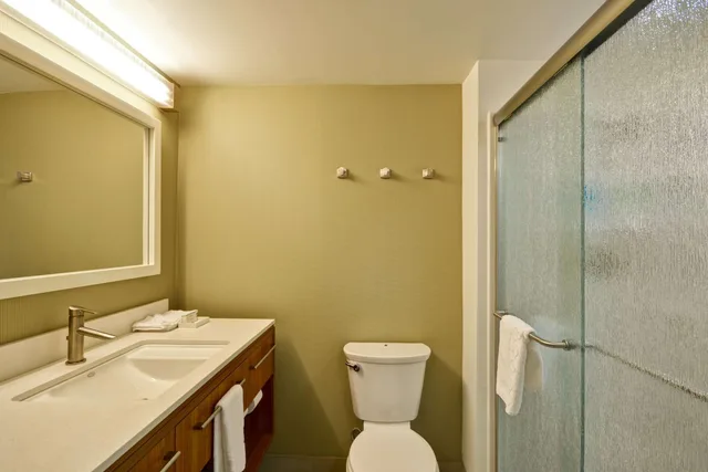 جناح بسرير كينج بغرفة نوم واحدة مع أريكة، Home2 Suites By Hilton Opelika Auburn 4/6