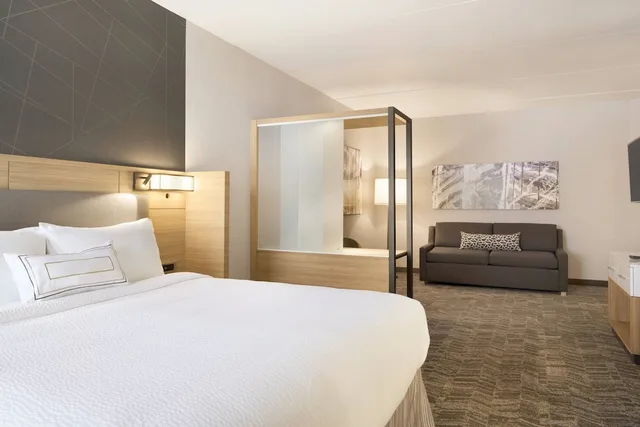 جناح بسرير كينج مع أريكة لذوي الإعاقة، Springhill Suites Allentown Bethlehem Center Valley 2/6