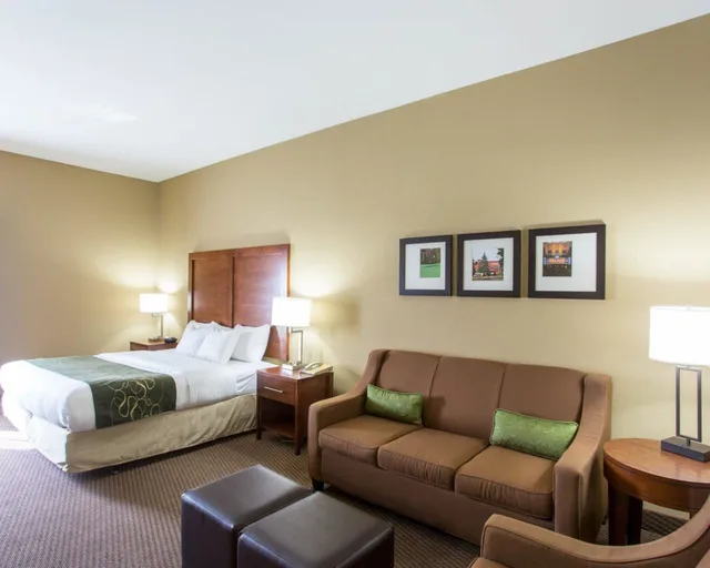 Upgrade, Efficiency, King Bed, Sofa, Accessible، Comfort Suites Crossville 6/8