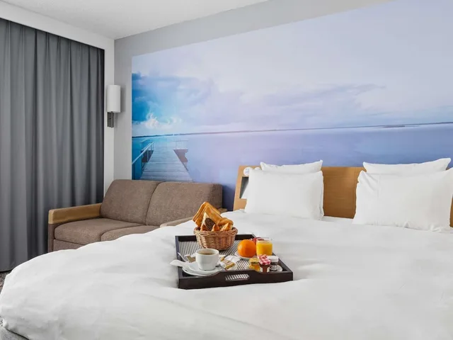 غرفة سوبيريور بسرير مزدوج، Novotel Paris Est 3/10