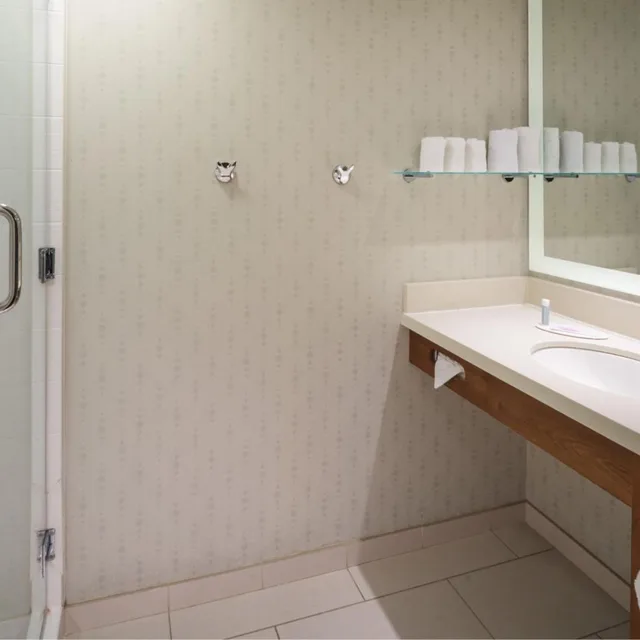 جناح بسرير كينج مع سرير سحّاب إضافي مع أريكة، SpringHill Suites Philadelphia Airport/Ridley Park 4/4