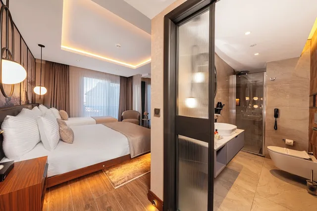 غرفة سوبيريور بسرير فردي وسرير كوين، Levni Istanbul Hotel Handwritten Collection 14/16