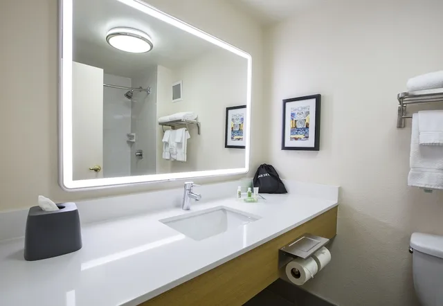 Premium, King Bed, Holiday Inn & Suites Chicago North Shore (Skokie) 5/6