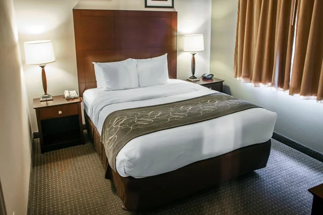 جناح بسرير كينج، Comfort Suites Elgin Northwest 3/8