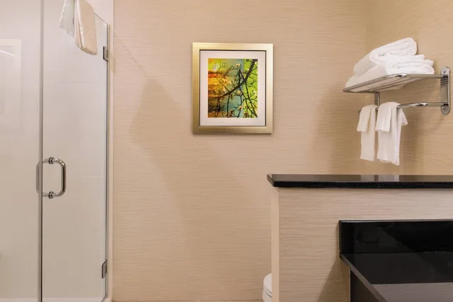 غرفة بسرير كينج لذوي الإعاقة، Fairfield Inn Suites Utica 3/3