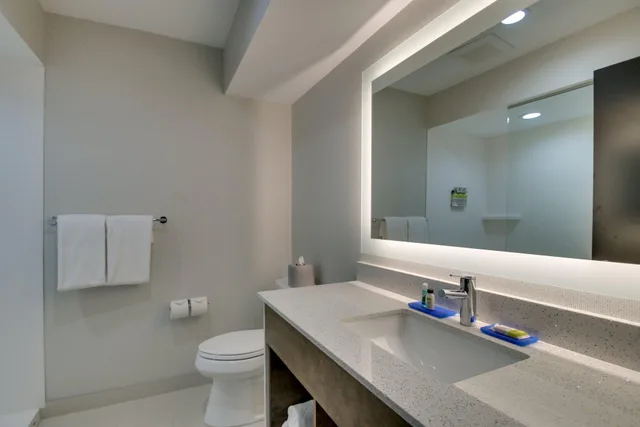 Standard, King Bed, Extra Floor Space, Sofa، Holiday Inn Express Fishkill-Mid Hudson Valley 6/7