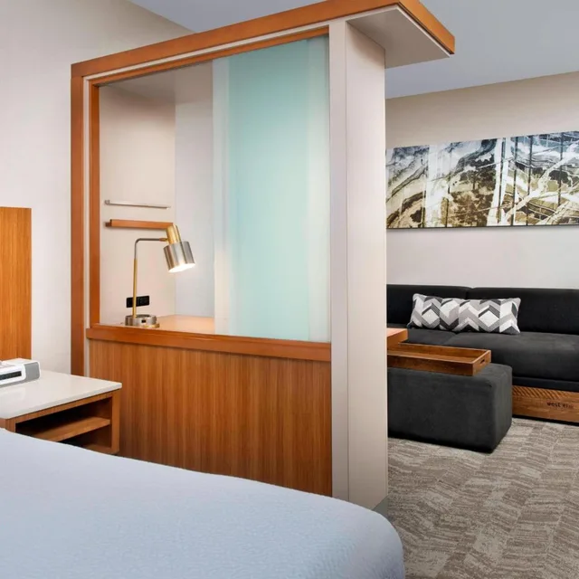 جناح بسريرين كوين مع سرير سحّاب إضافي مع أريكة، Springhill Suites By Marriott Potomac Mills Woodbridge 4/4