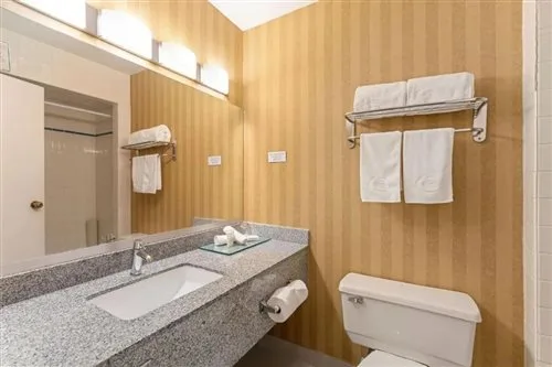 غرفة بسرير مزدوج أو سريرين منفصلين، Executive Hotel Vancouver Airport 2/2