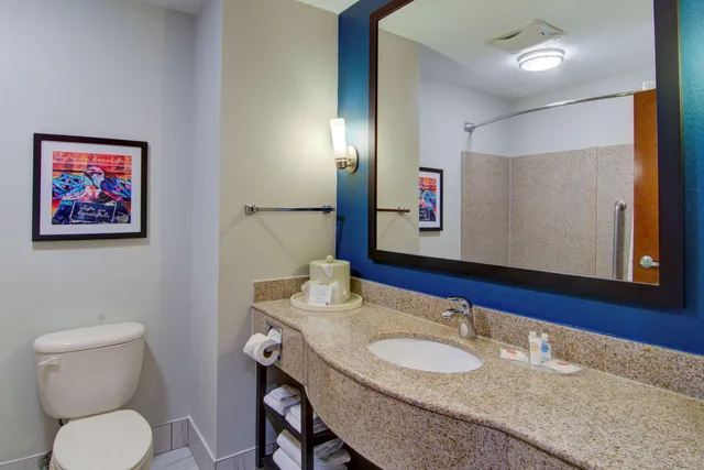 جناح، Comfort Suites Newport News Airport VA 2/3