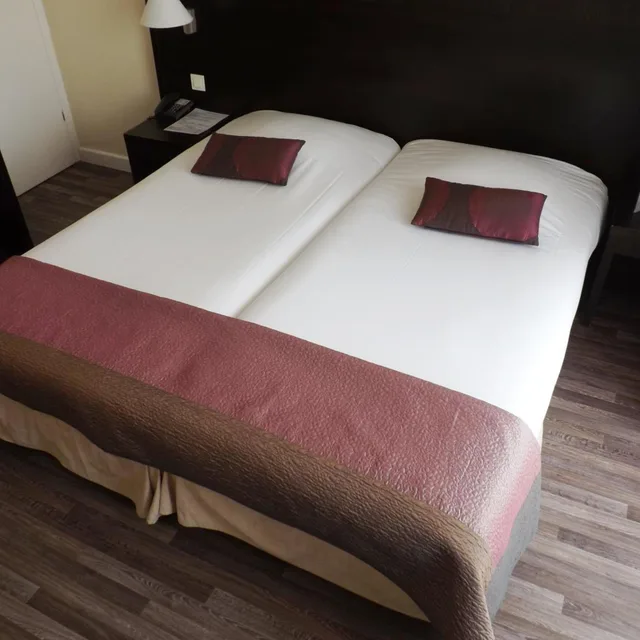 Standard, Double Bed, Exclusive Hotel Comte De Nice 7/10