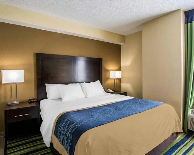 جناح بزنس بسرير كينج مع أريكة لذوي الإعاقة، Comfort Inn & Suites Lantana - West Palm Beach South 2/4