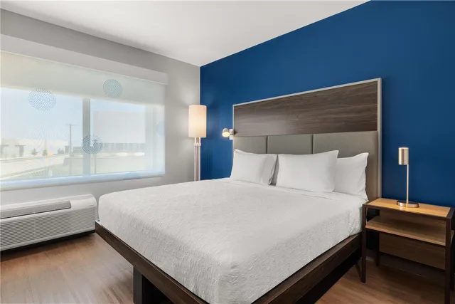 غرفة بسرير كينج بحوض استحمام لذوي الإعاقة، Tru by Hilton Fort Worth Lake Worth 1/4