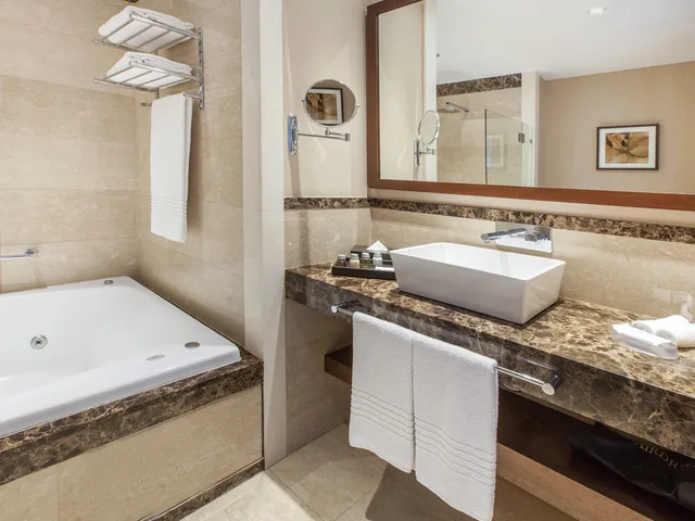Deluxe, Bay View، Wyndham Nordelta Tigre Buenos Aires 7/7
