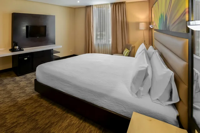 Room, King Bed, City View, Hilton Garden Inn Guatemala City 2/4