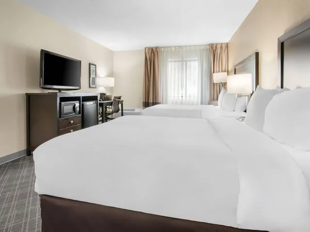 غرفة قياسية بسريرين مزدوجين، Comfort Inn Downtown Detroit MI 5/9