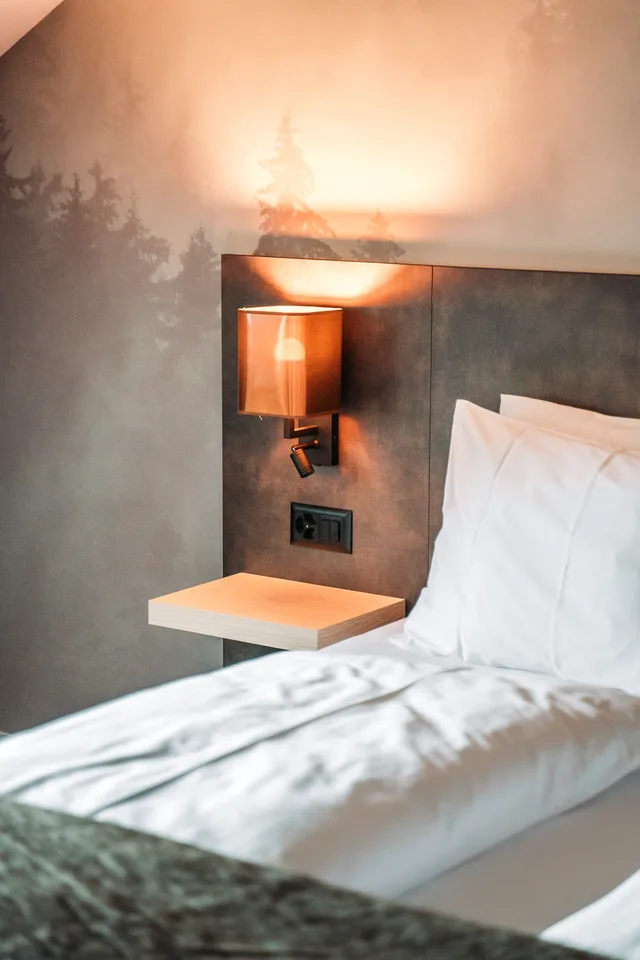 غرفة قياسية مفردة، THE HEY HOTEL INTERLAKEN 5/12