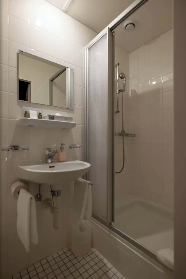 Standard, Single, Valley View, Balcony، Hotel Regina Wengen 2/12