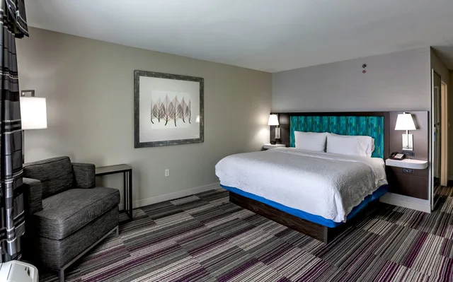 Room, King Bed, Accessible, Hampton Inn & Suites Chicago Southland Matteson 2/4