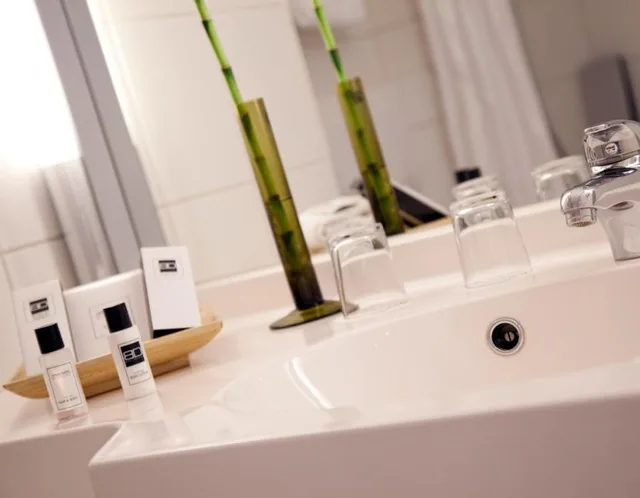 غرفة بزنس بسرير كينج، Relexa Hotel Frankfurt 5/5
