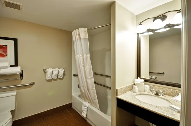 1 Bedroom, Suite, Hilton Garden Inn Tampa North 2/2
