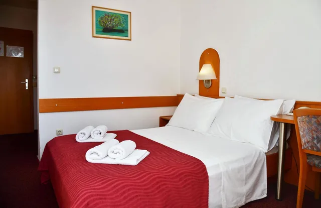 غرفة مفردة بشرفة، Hotel Alkar 1/9