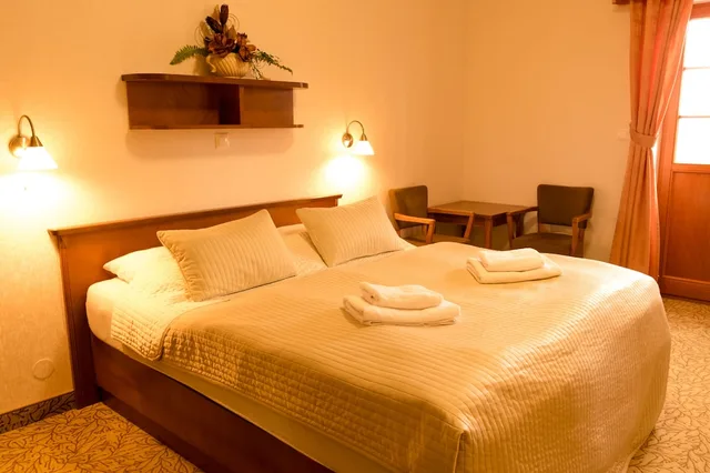 غرفة قياسية، Hotel Vitkova Hora 1/4