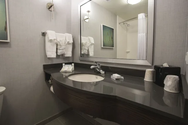 غرفة بسرير كينج بحوض جاكوزي لذوي الإعاقة، Hilton Garden Inn Bolingbrook I-55 5/6
