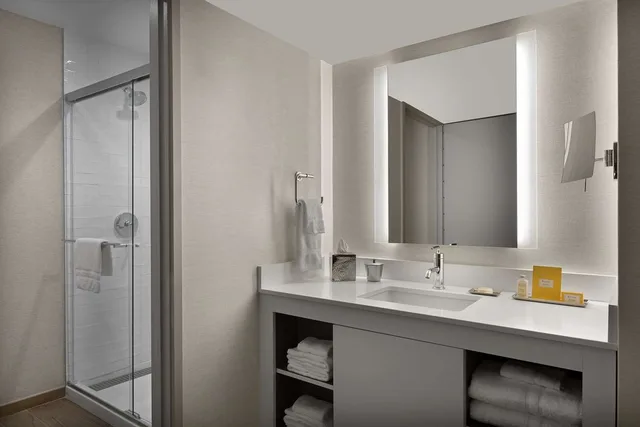 Deluxe, King Bed, Sonesta Silicon Valley 3/3
