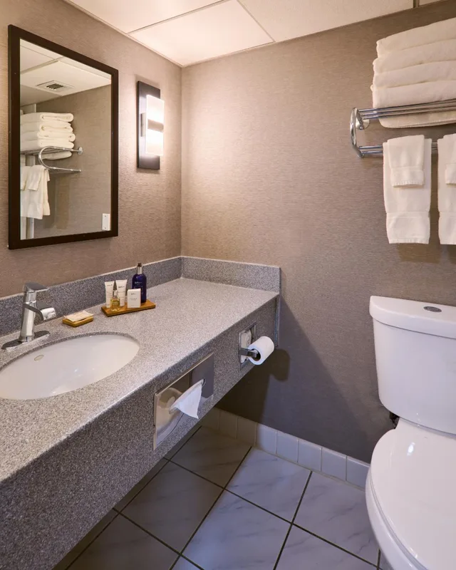 جناح جونيور بسرير كينج، Radisson Hotel Hauppauge-Long Island 5/7