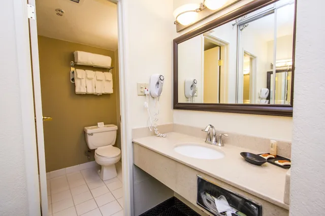 Standard - One King، Knotts Berry Farm Resort Hotel 6/7