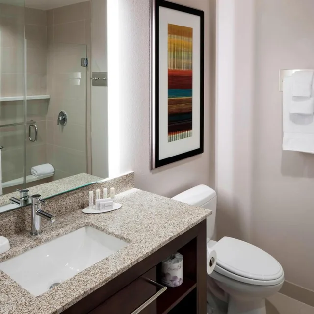 جناح بسرير كينج بغرفة نوم واحدة، RESIDENCE INN DALLAS PLANO/RICHARDSON 4/8