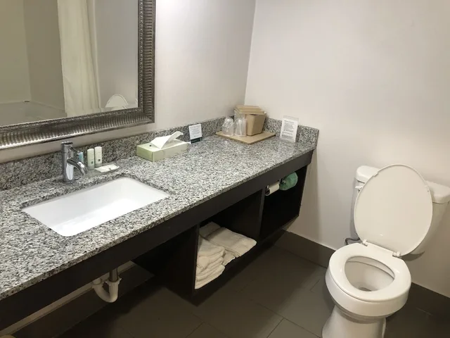 غرفة قياسية بسرير كينج، Quality Inn Rochester South 8/10