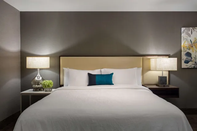 جناح جونيور بسرير كينج، Hilton Garden Inn Lubbock 2/7