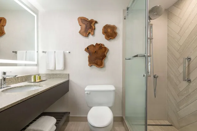 جناح بسريرين كينج بغرفتي نوم، Hilton Vancouver Airport 4/5