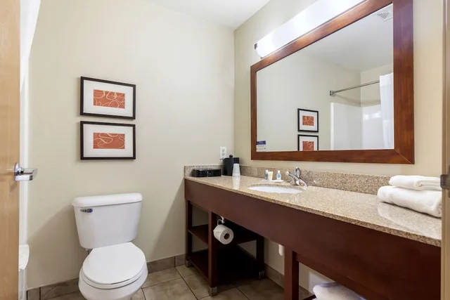 غرفة قياسية بسريرين كوين مع أريكة، Comfort Suites Johnson Creek Conference Center 6/8
