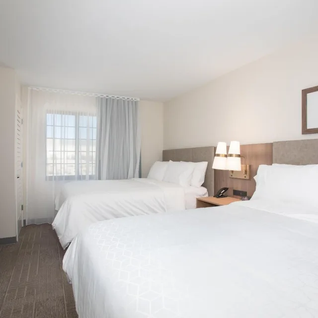 جناح بغرفتي نوم لذوي الإعاقة، Staybridge Suites Carson City - Tahoe Area 1/9