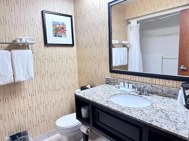 غرفة بسرير كينج، Holiday Inn Express Big Rapids, an IHG Hotel 2/2