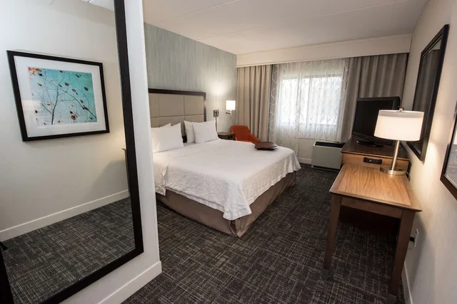 غرفة بسرير كينج مع أريكة بحوض استحمام لذوي الإعاقة، Hampton Inn Albany-Western Ave/University Area 2/4