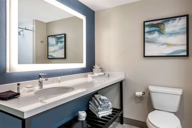 جناح بسرير كينج لذوي الإعاقة، Cambria Hotel Orlando Airport FL 6/6