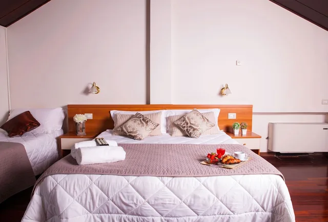 غرفة ثلاثية بثلاثة أسرّة، Hotel Ares Milano 3/8