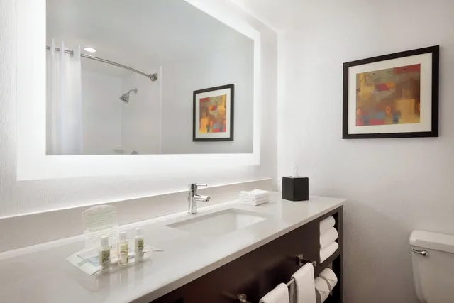 غرفة بريميوم بسرير كينج، Holiday Inn Rock Island - Quad Cities 4/4
