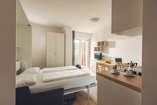1 Bedroom, Panoramic, Apartment, Valley View, Balcony، Residence Lagorai 5/8
